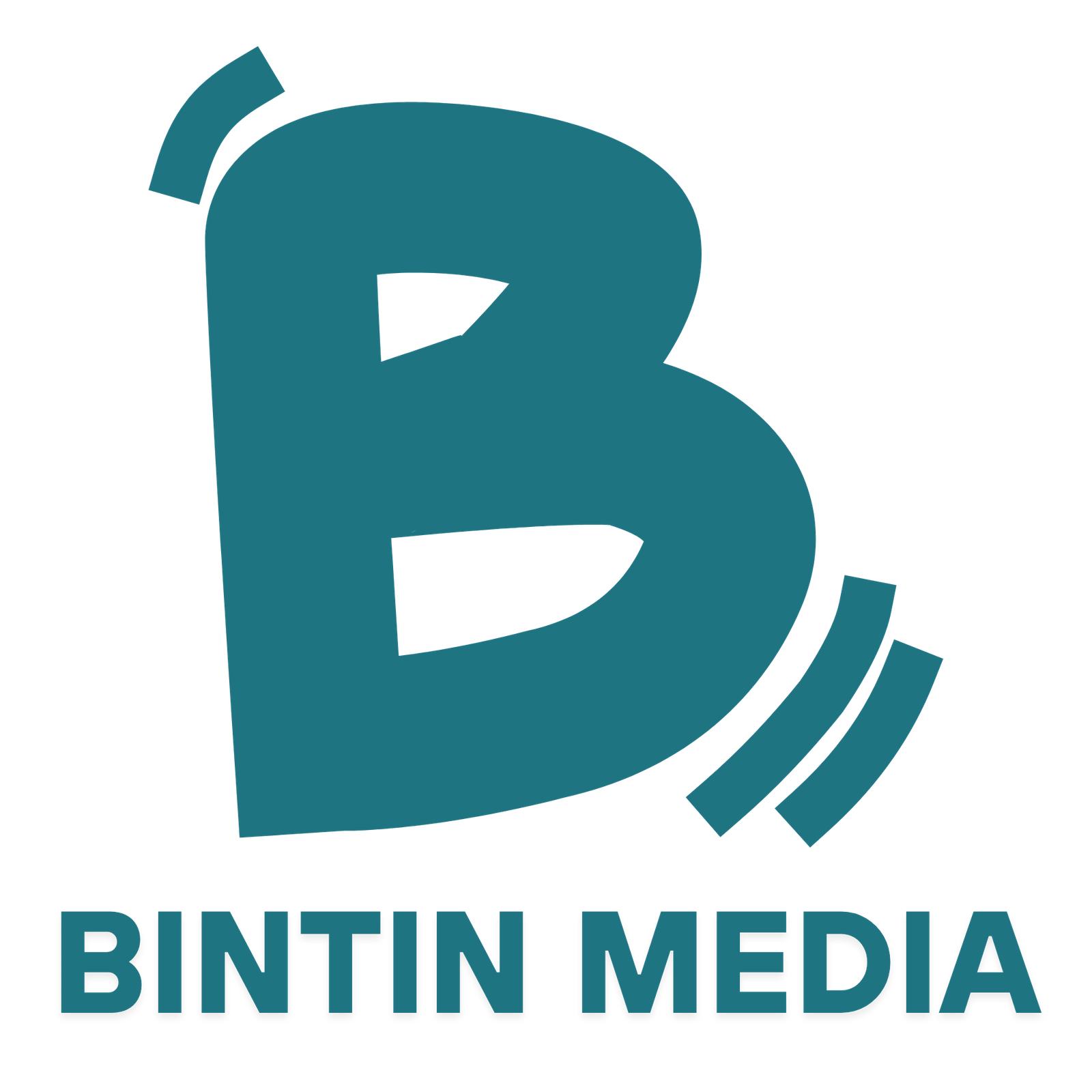 Bintin Media